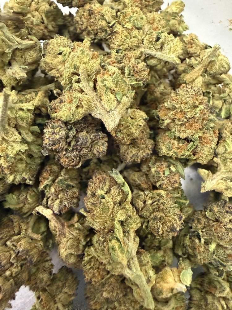 Purple Milk