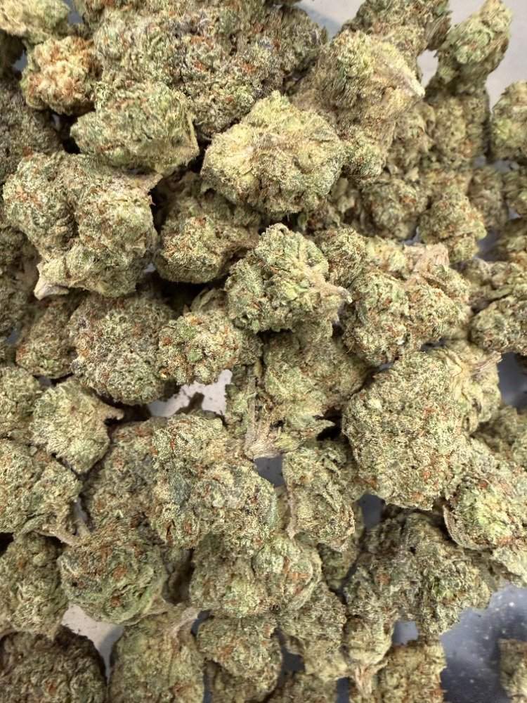 Blue Andies