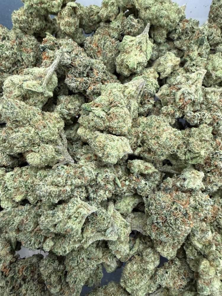 Blue Cookies